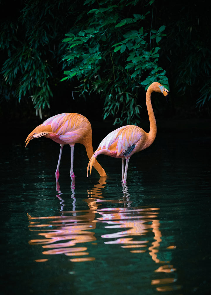 Canvastavla - Caribbean