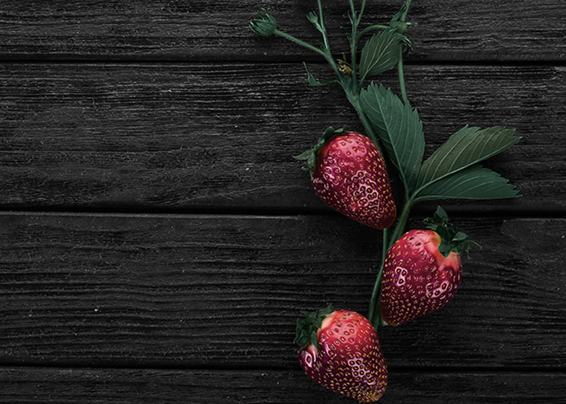 Canvastavla - Strawberry