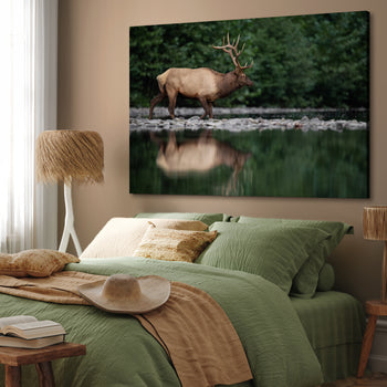 Ljuddämpande tavla - Elk Reflection