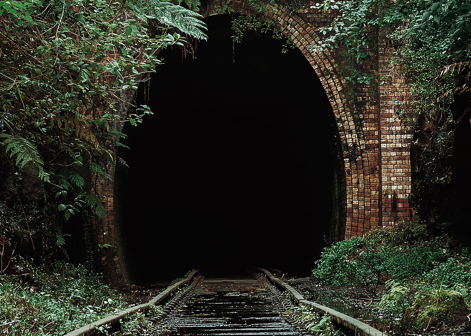 Ljuddämpande tavla - Nature's Overpass