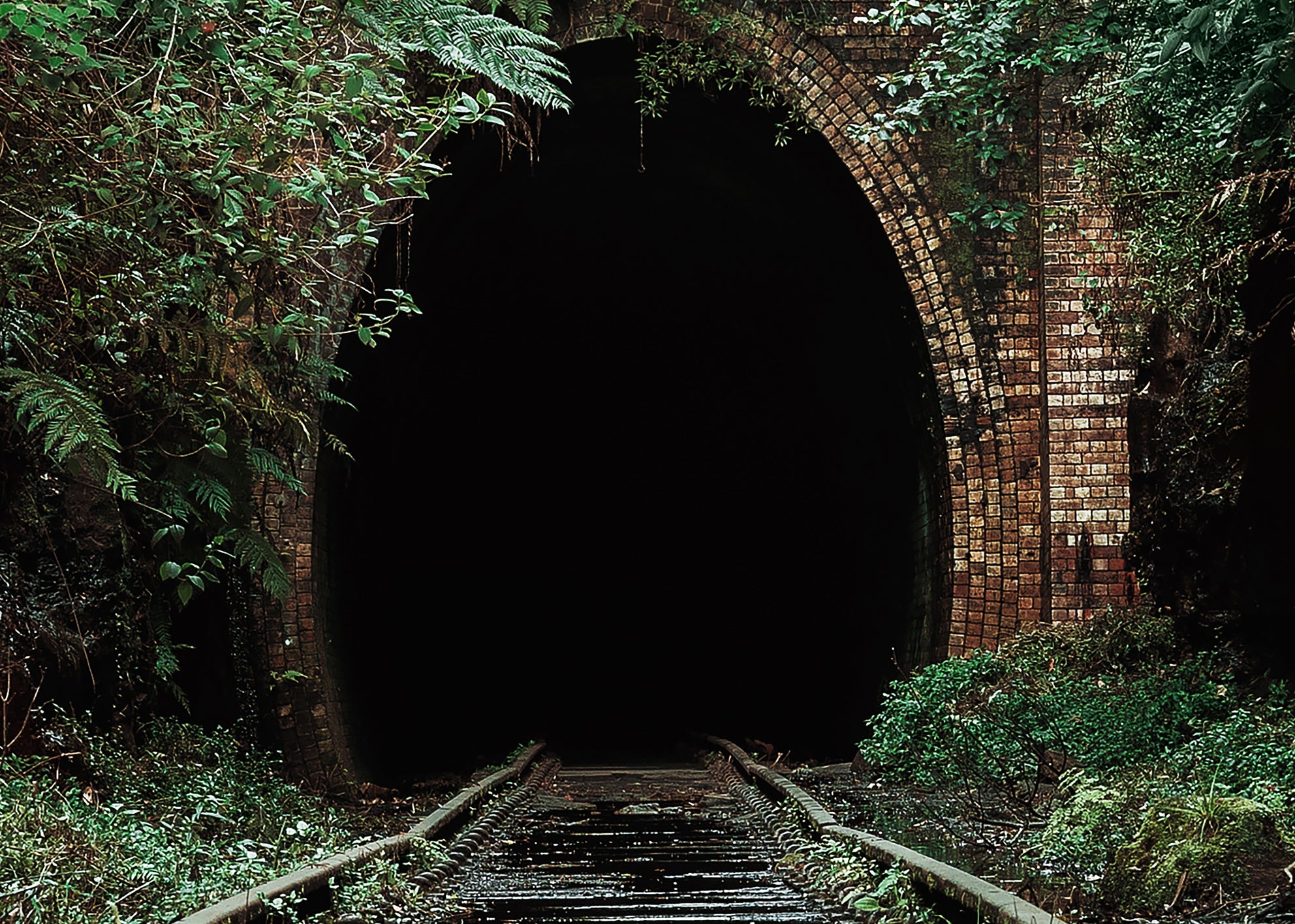 Ljuddämpande tavla - Nature's Overpass