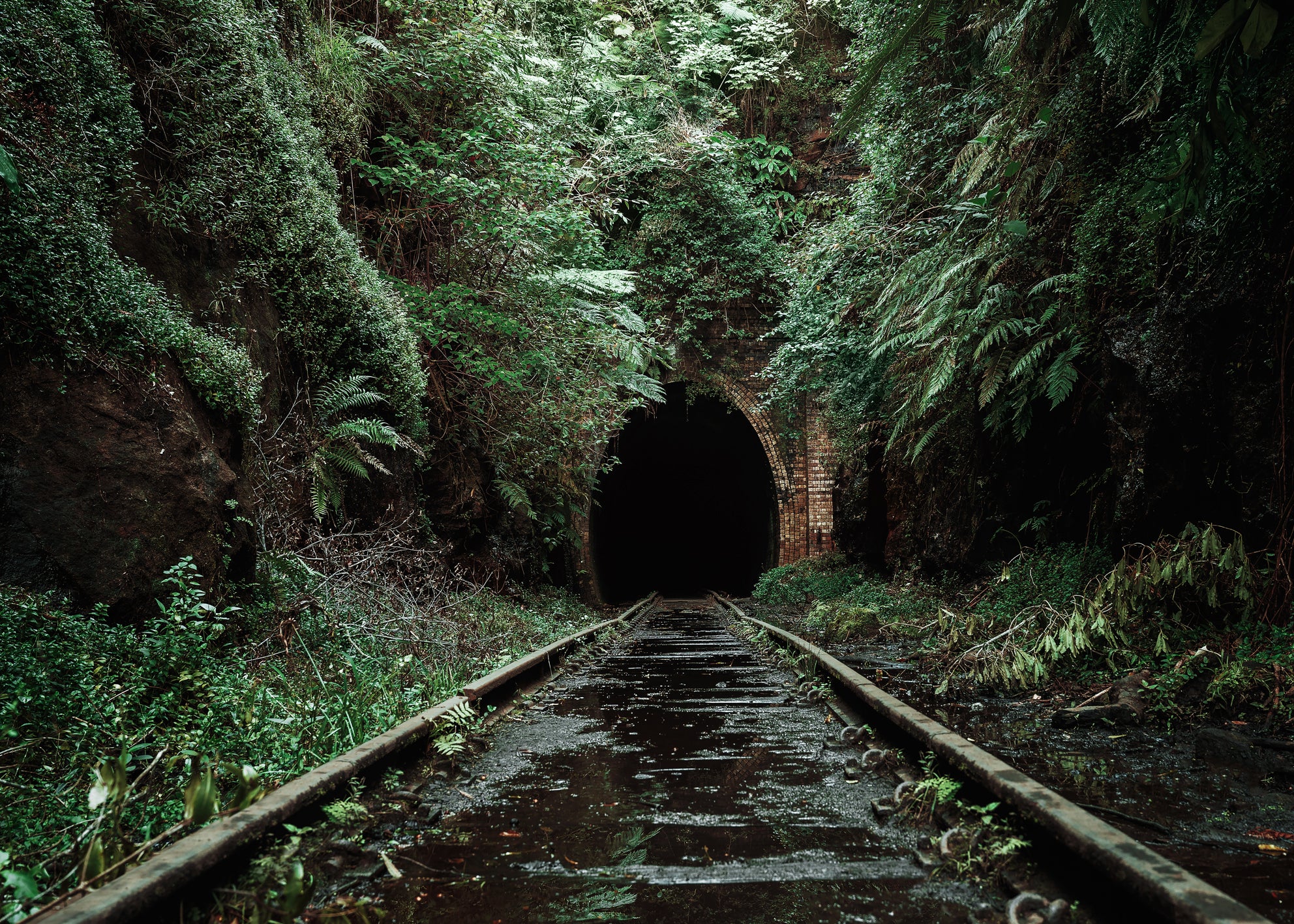 Ljuddämpande tavla - Nature's Overpass