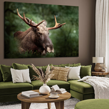 Ljuddämpande tavla - Elk Haven