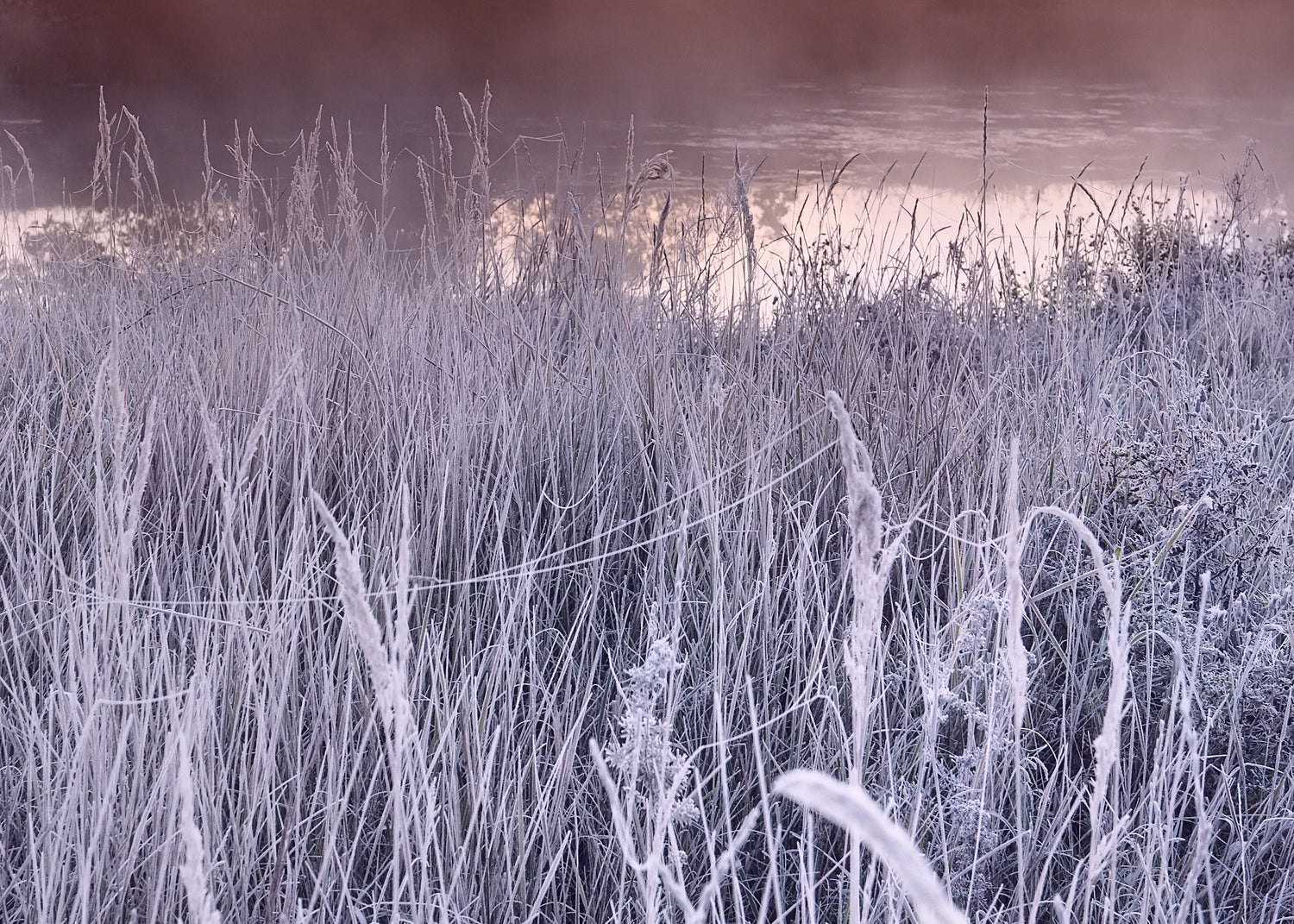 Ljuddämpande tavla - Frost Glow