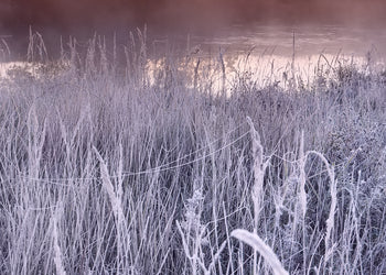 Ljuddämpande tavla - Frost Glow