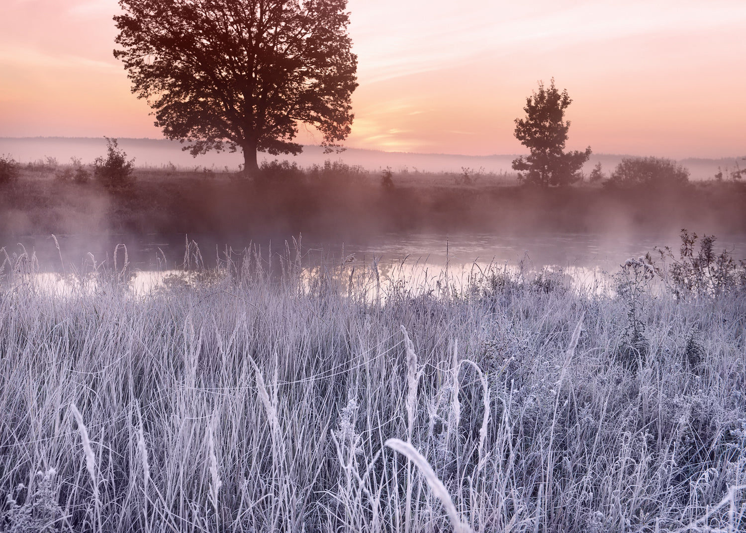 Ljuddämpande tavla - Frost Glow