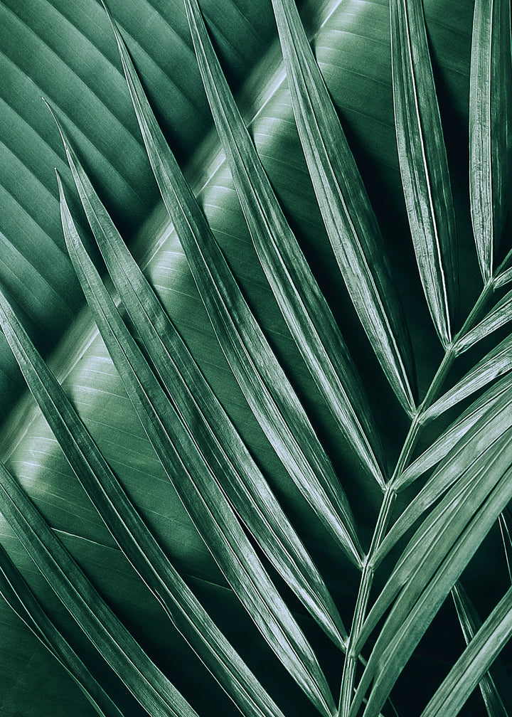 Ljuddämpande tavla - Exotic Leaves