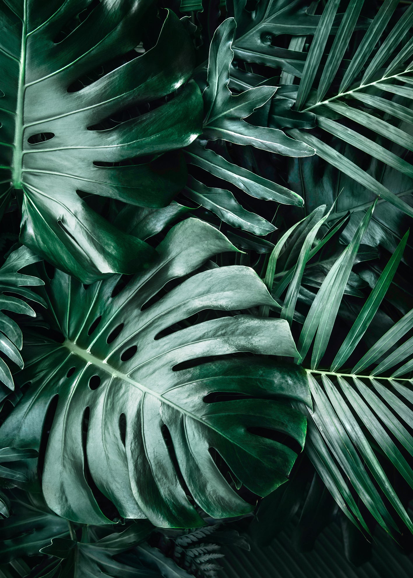 Ljuddämpande tavla - Monstera