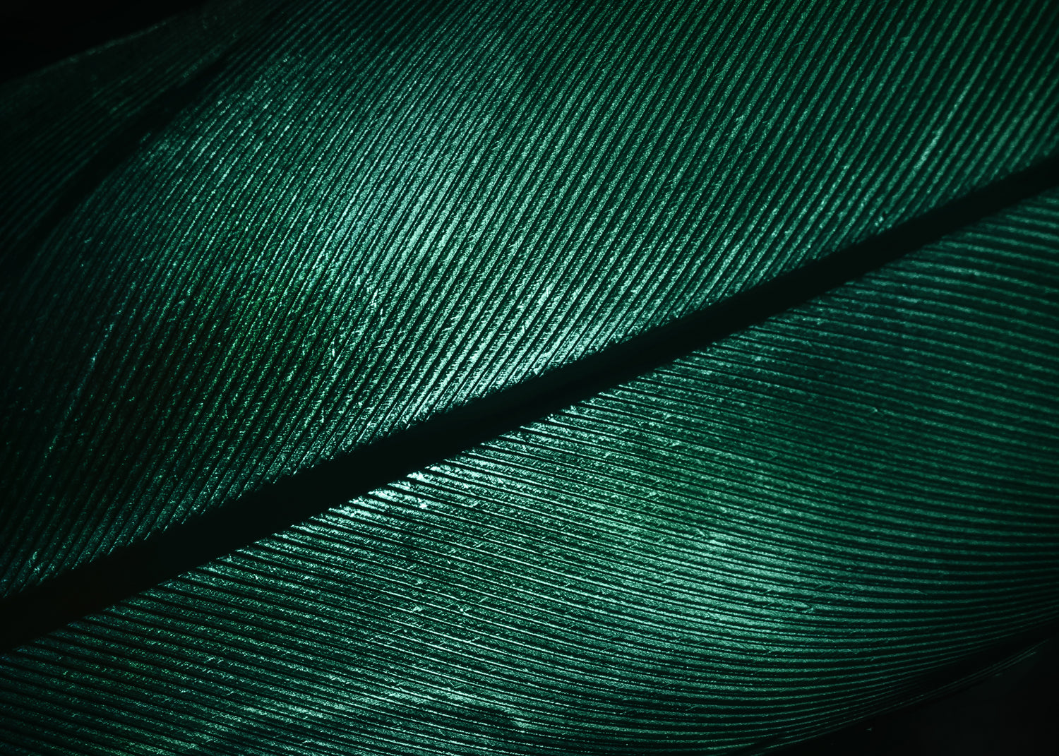 Ljuddämpande tavla - Green Feather