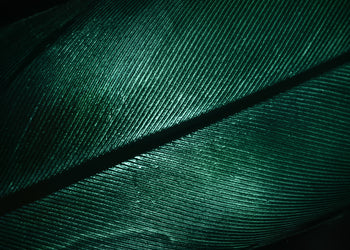 Ljuddämpande tavla - Green Feather