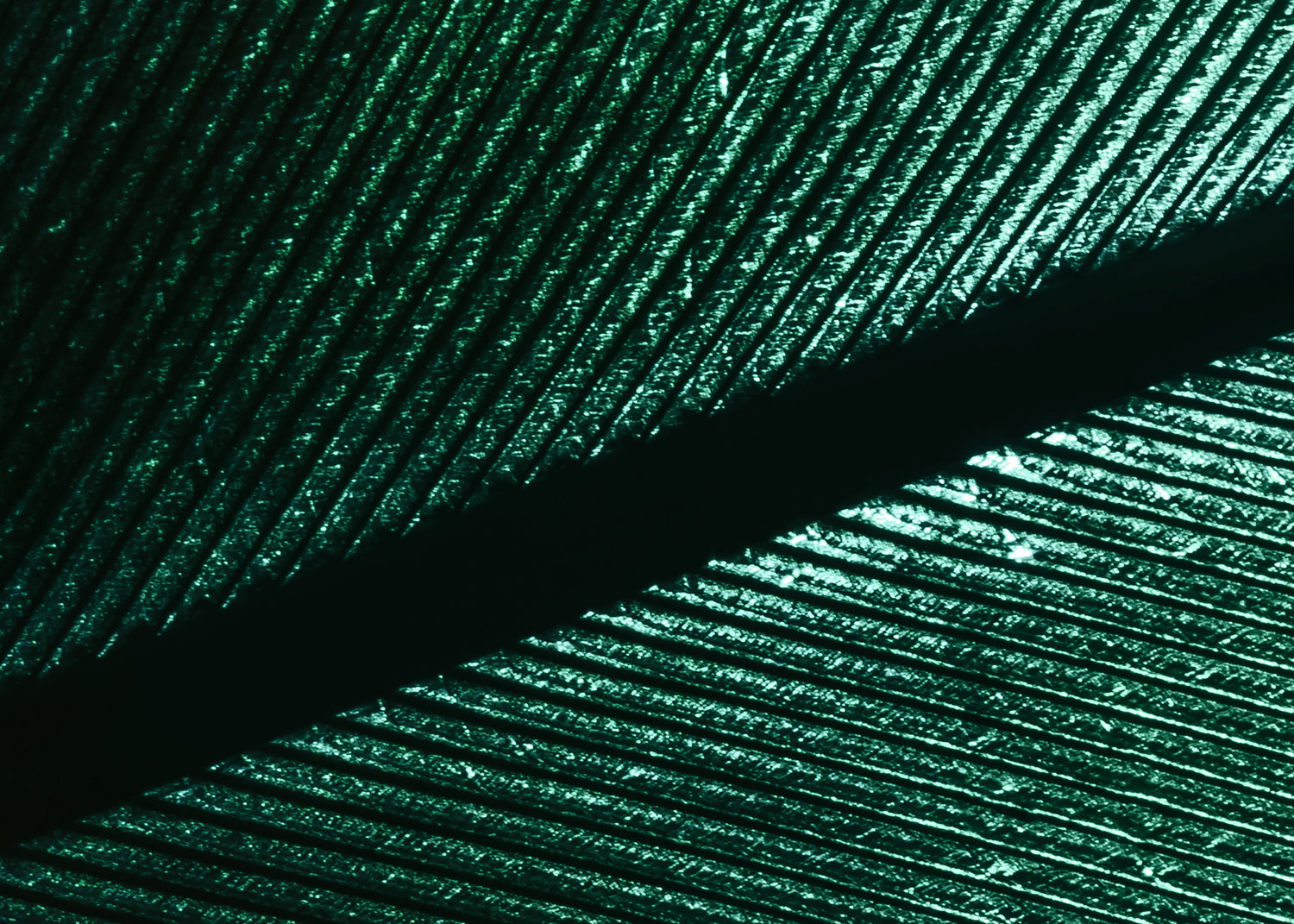 Ljuddämpande tavla - Green Feather