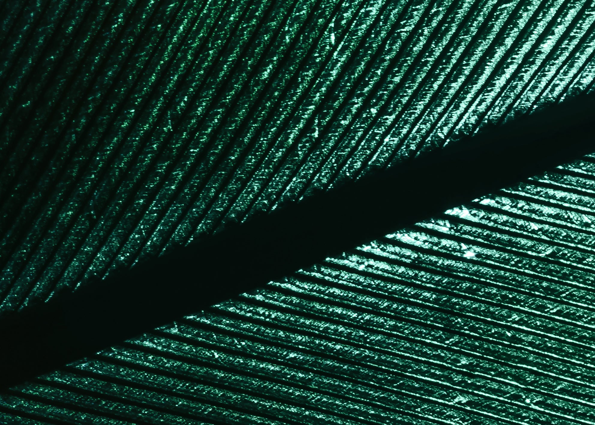 Ljuddämpande tavla - Green Feather