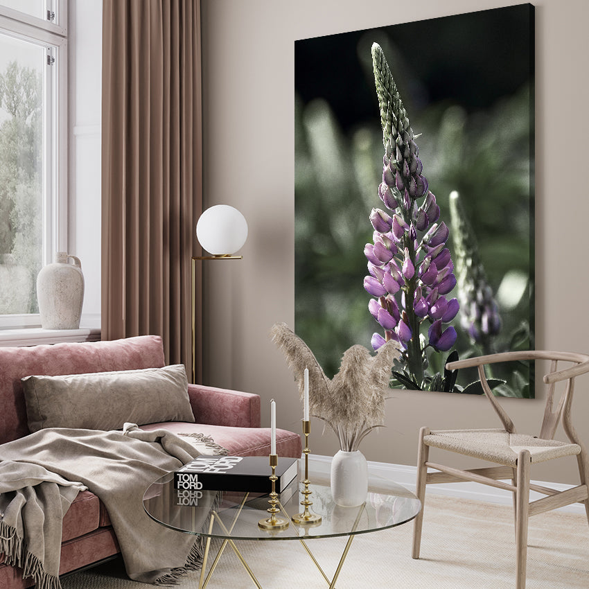Canvastavla - Lupine
