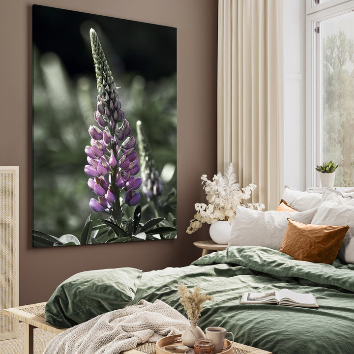 Ljuddämpande tavla - Lupine
