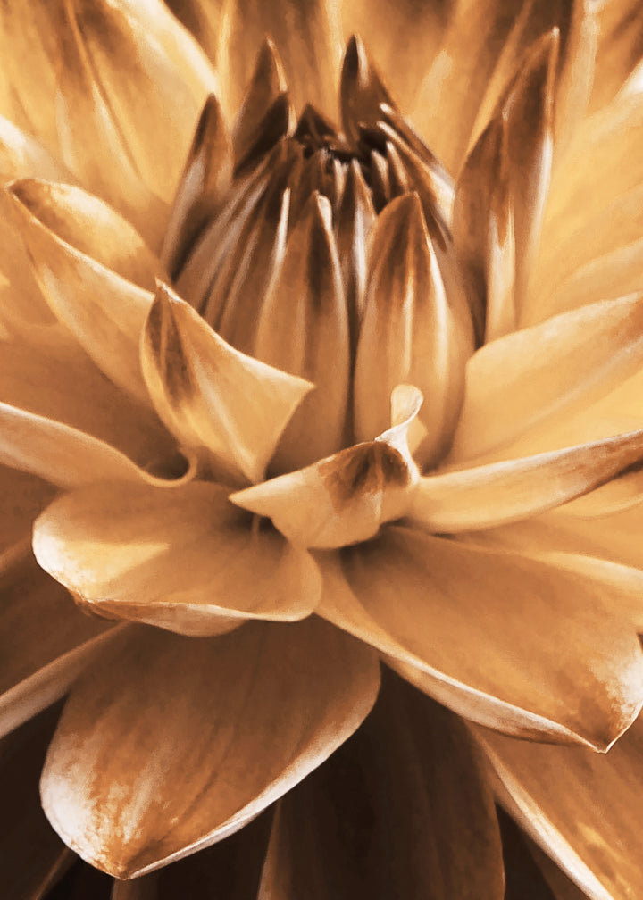 Ljuddämpande tavla - Dahlia
