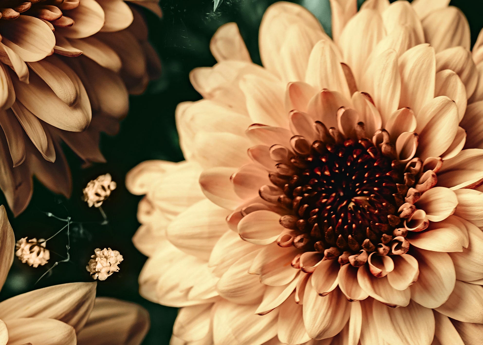 Ljuddämpande tavla - Baroque Flowers
