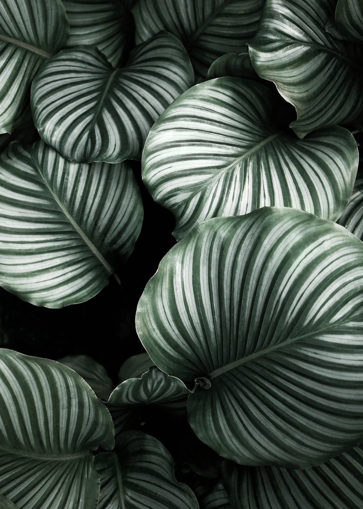 Ljuddämpande tavla - Green Leavs