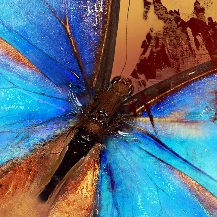Canvastavla - Butterfly