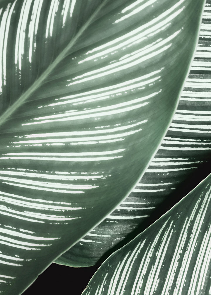 Canvastavla - Green Leaf