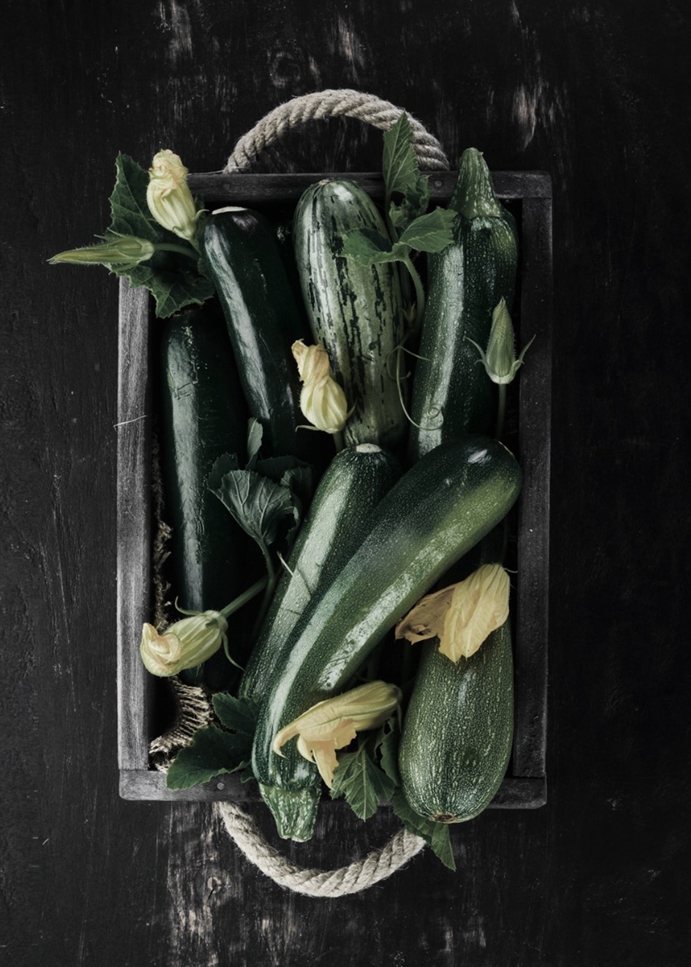 Canvastavla - Zucchini