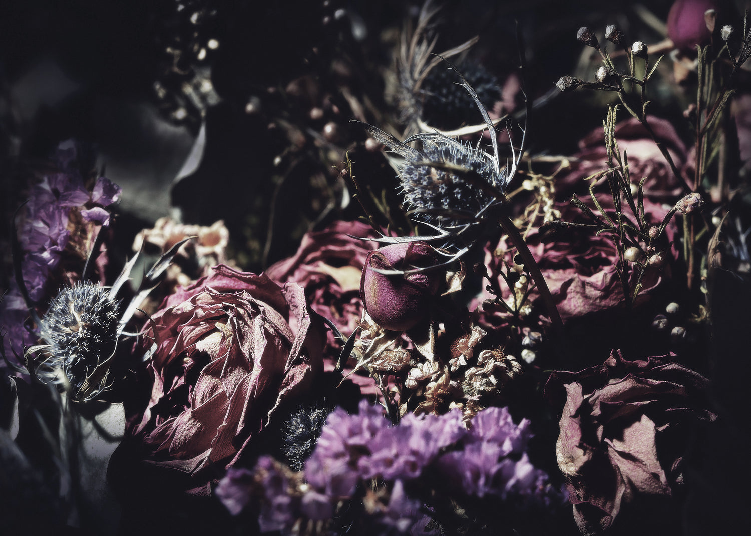 Ljuddämpande tavla - Wild Rose