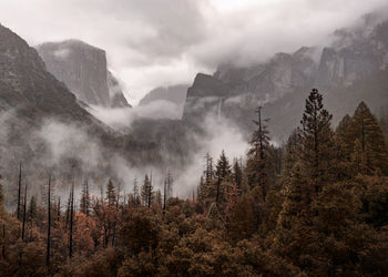 Ljuddämpande tavla  - Yosemite