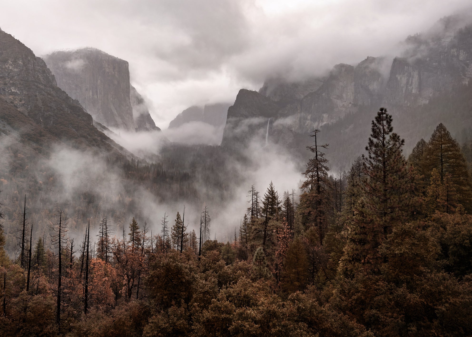Ljuddämpande tavla  - Yosemite
