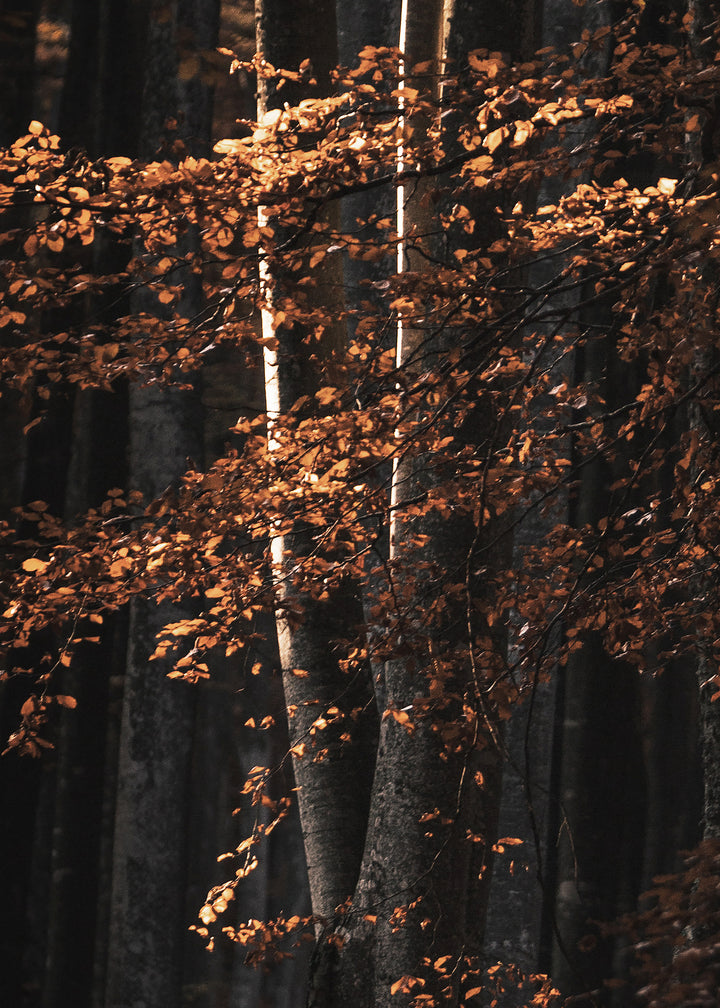 Ljuddämpande tavla  - Golden Tree
