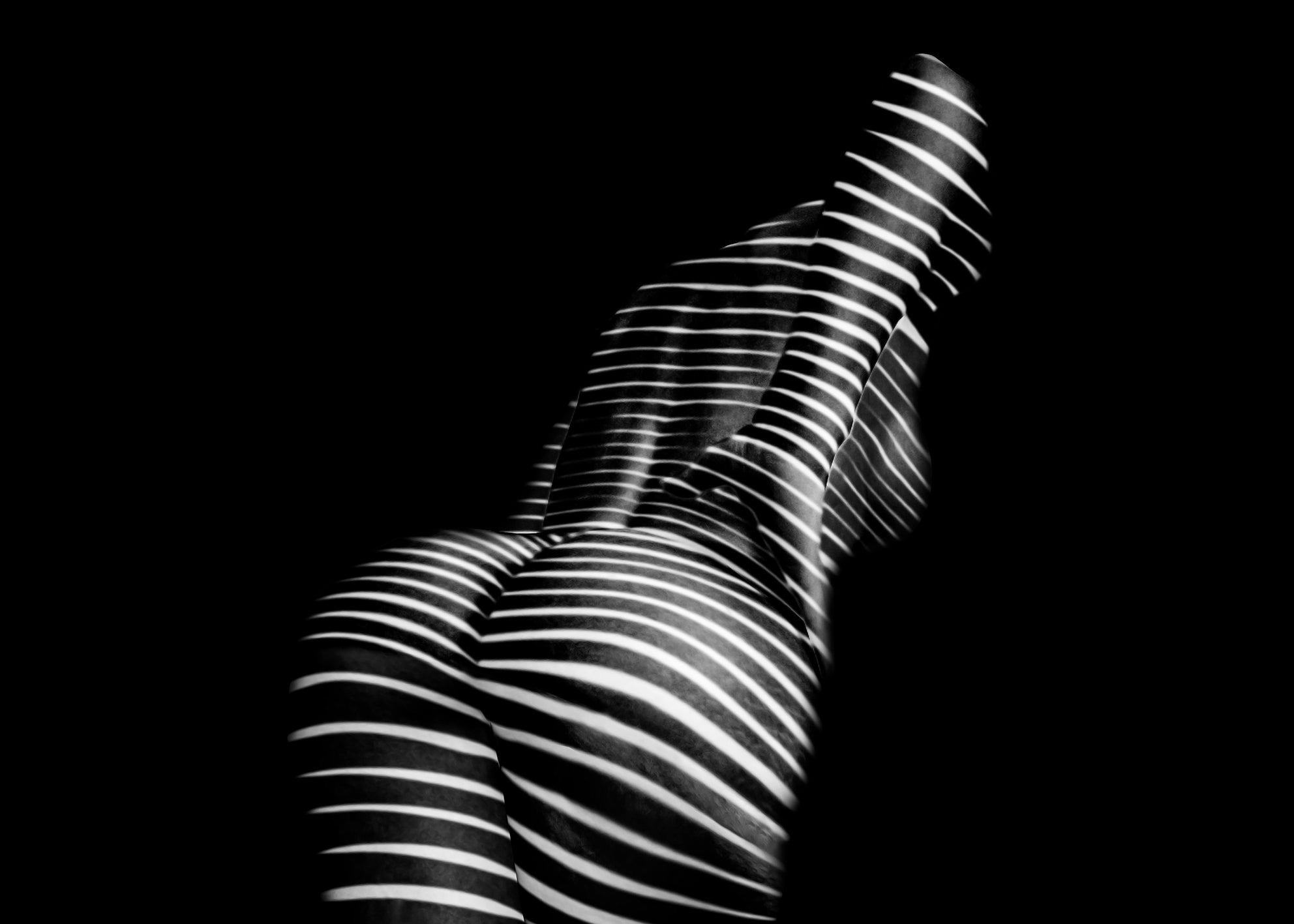 Canvastavla - Stay Wild