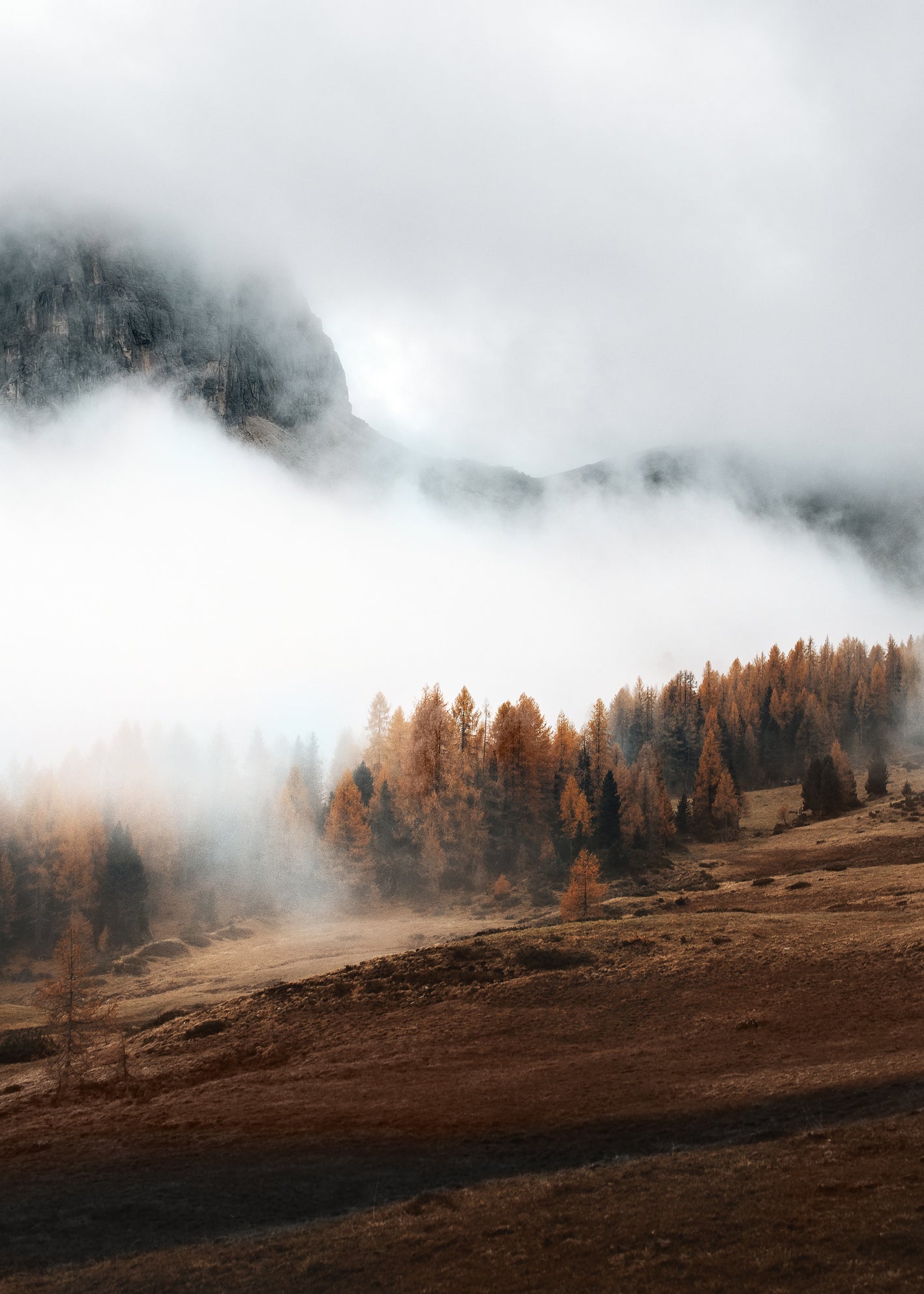 Canvastavla - Hazy Mountains (80X120)