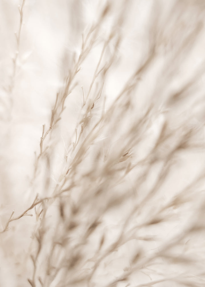 Canvastavla - Fields in Fall (50x70)