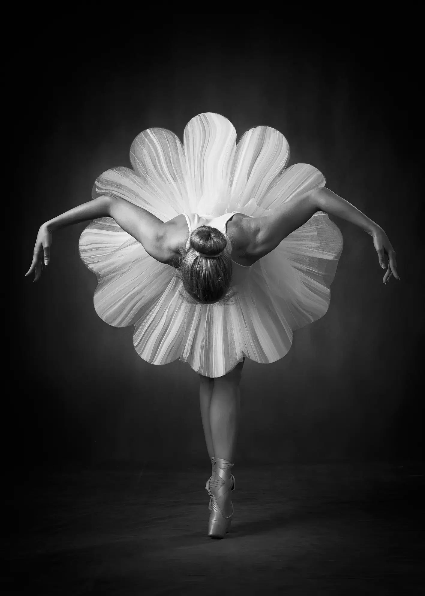 Ljuddämpande tavla - Petals of Grace