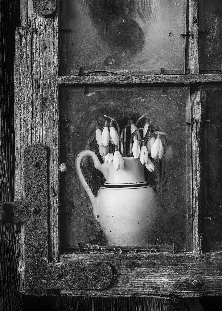 Ljuddämpande tavla - The Lonely Vase