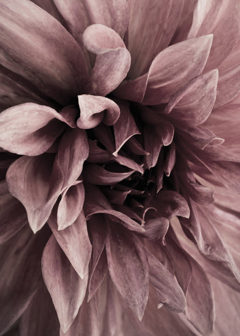 Canvastavla - Floret