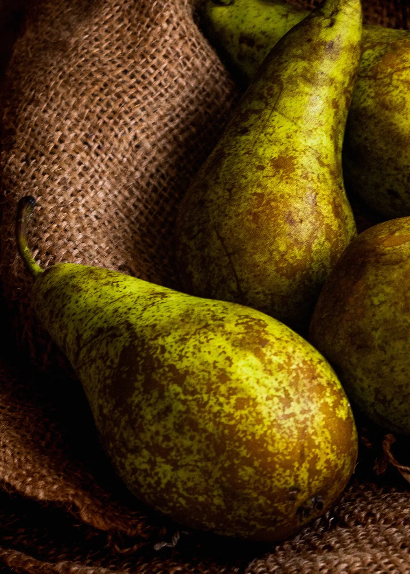 Ljuddämpande tavla - Pear Delight