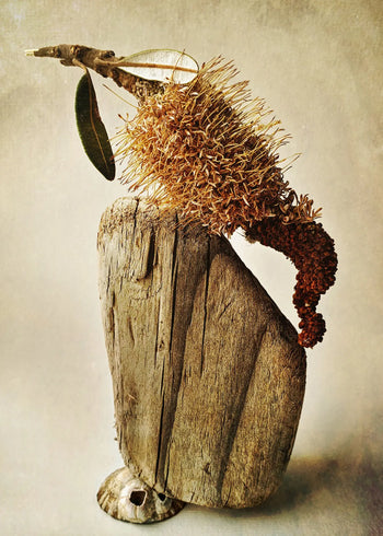 Ljuddämpande tavla - Elements of Nature