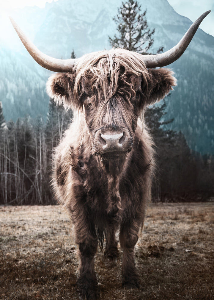 Poster - Horns