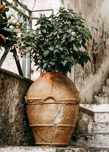 Canvastavla - Mediterranean Terrace