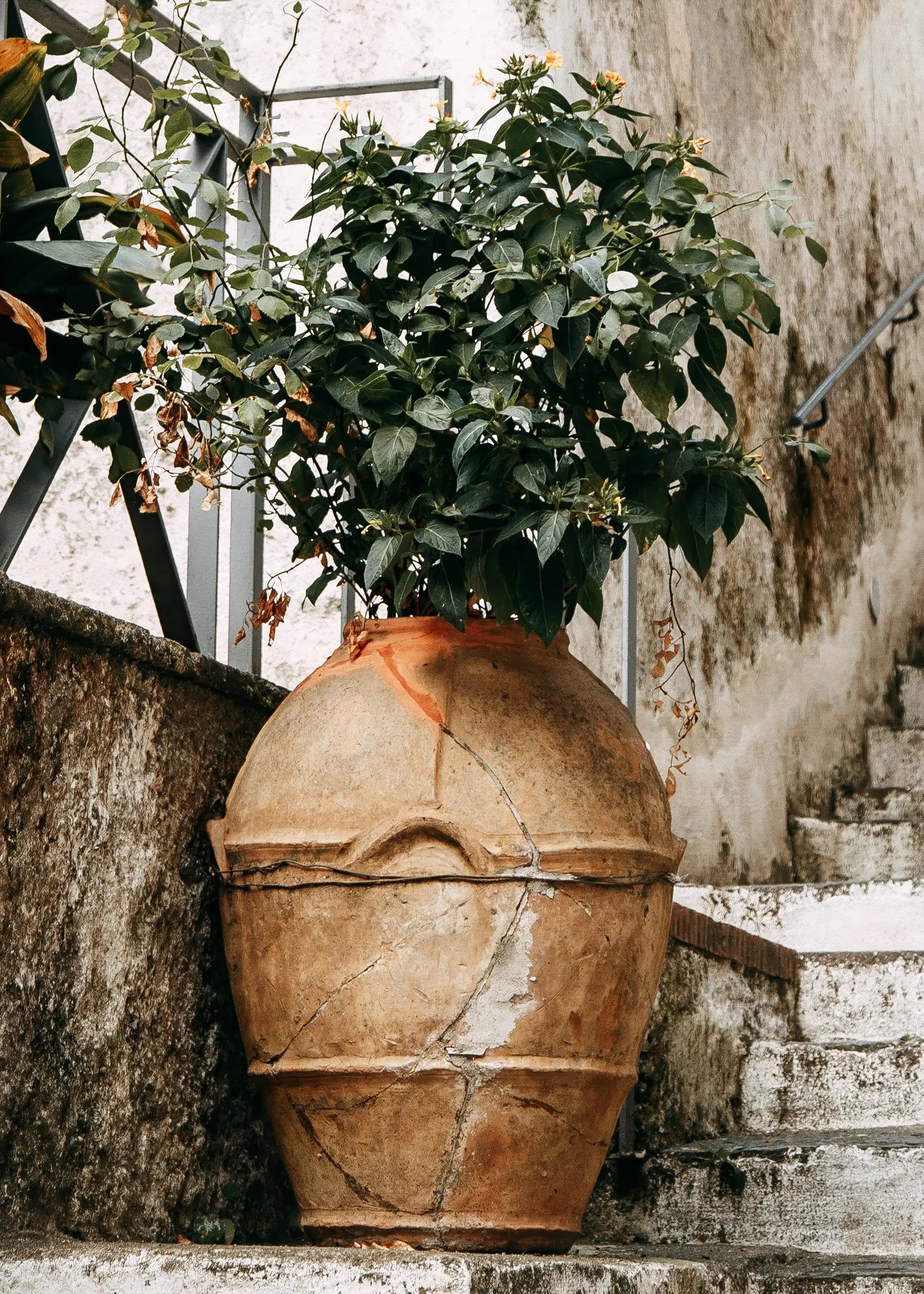 Canvastavla - Mediterranean Terrace