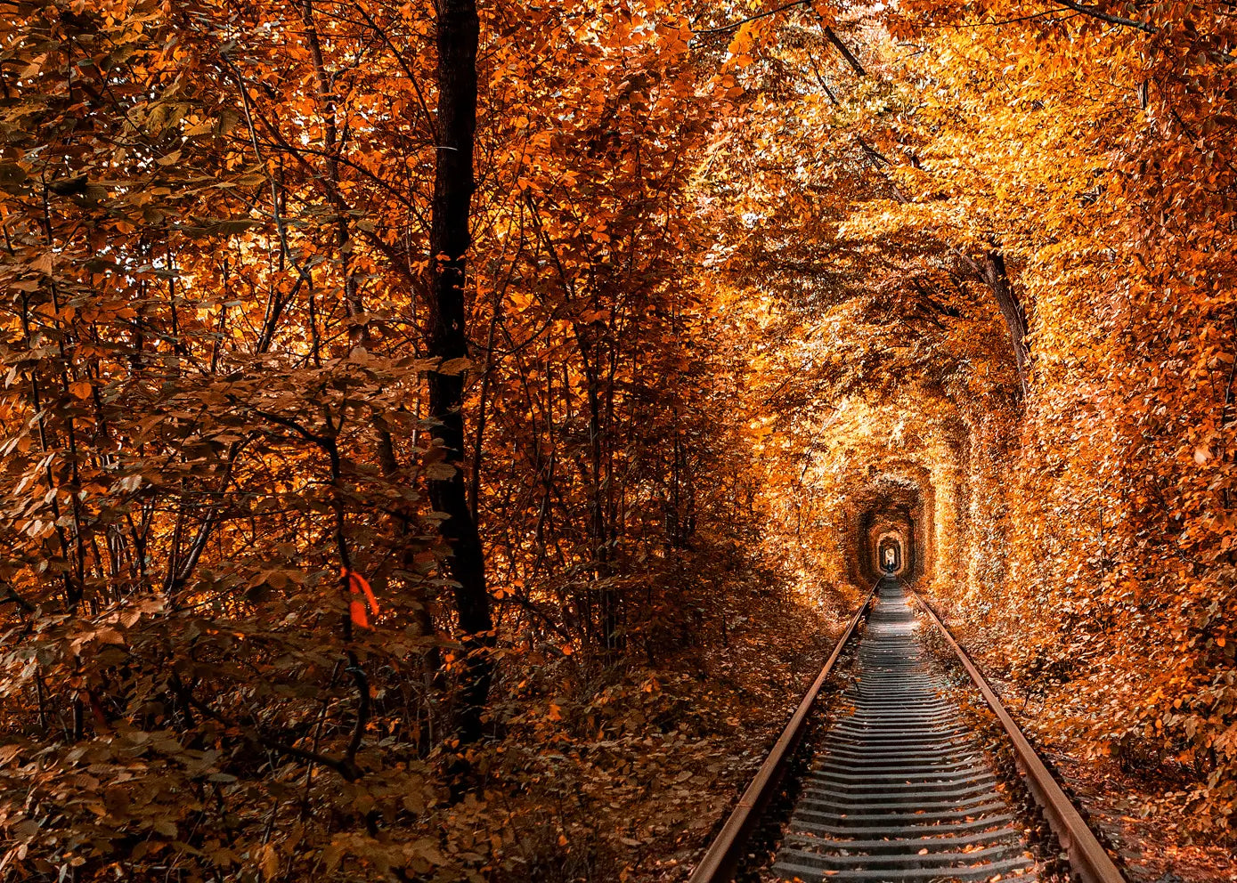 Ljuddämpande tavla - Tunnel of Autumn