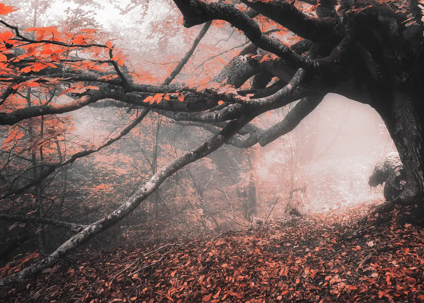Ljuddämpande tavla - Roots of Autumn