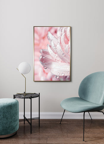 Poster - Drops