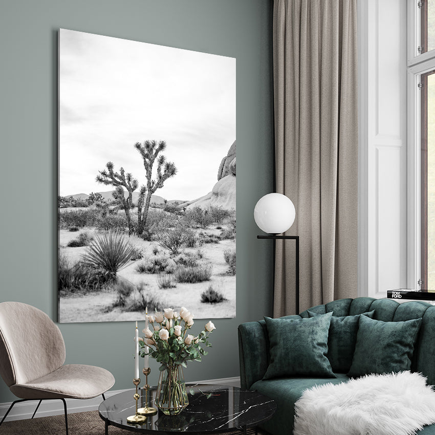 Canvastavla - Joshua Tree (70x100)