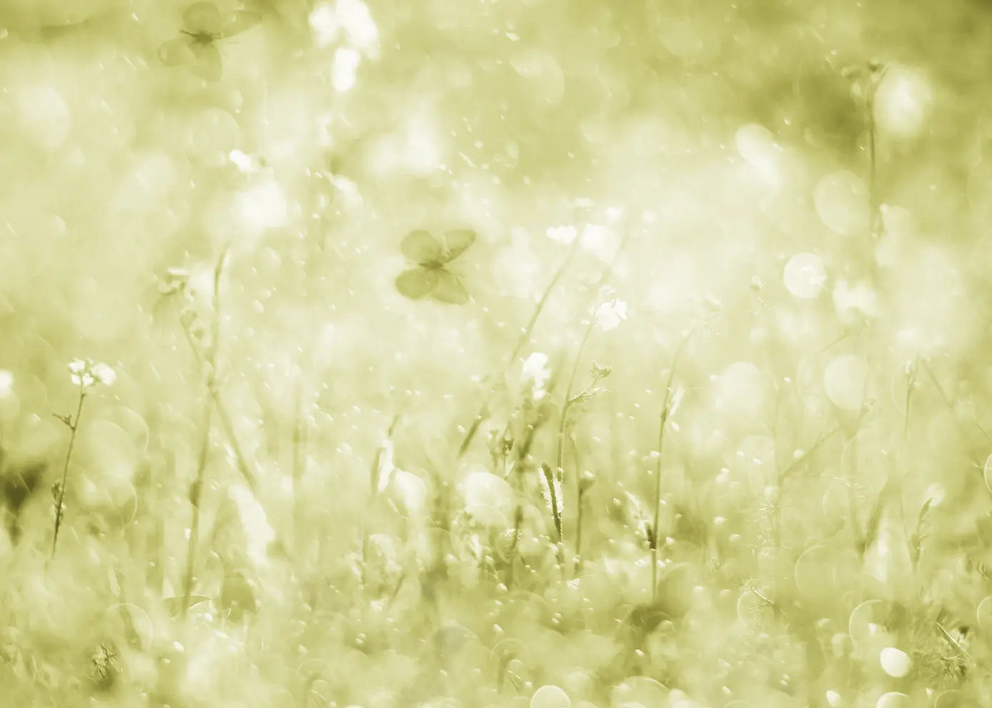 Ljuddämpande tavla - Morning Meadow
