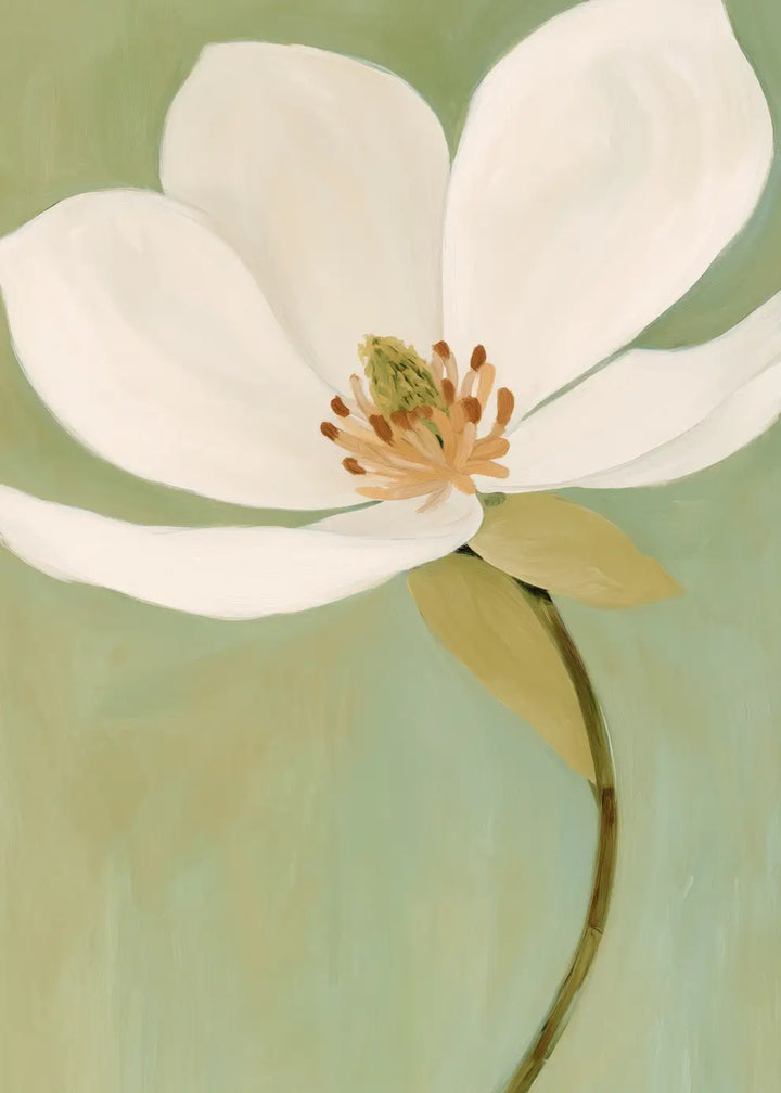 Ljuddämpande tavla - White Magnolia Bloom