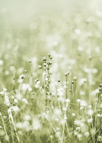 Ljuddämpande tavla - Soft Meadow Bloom
