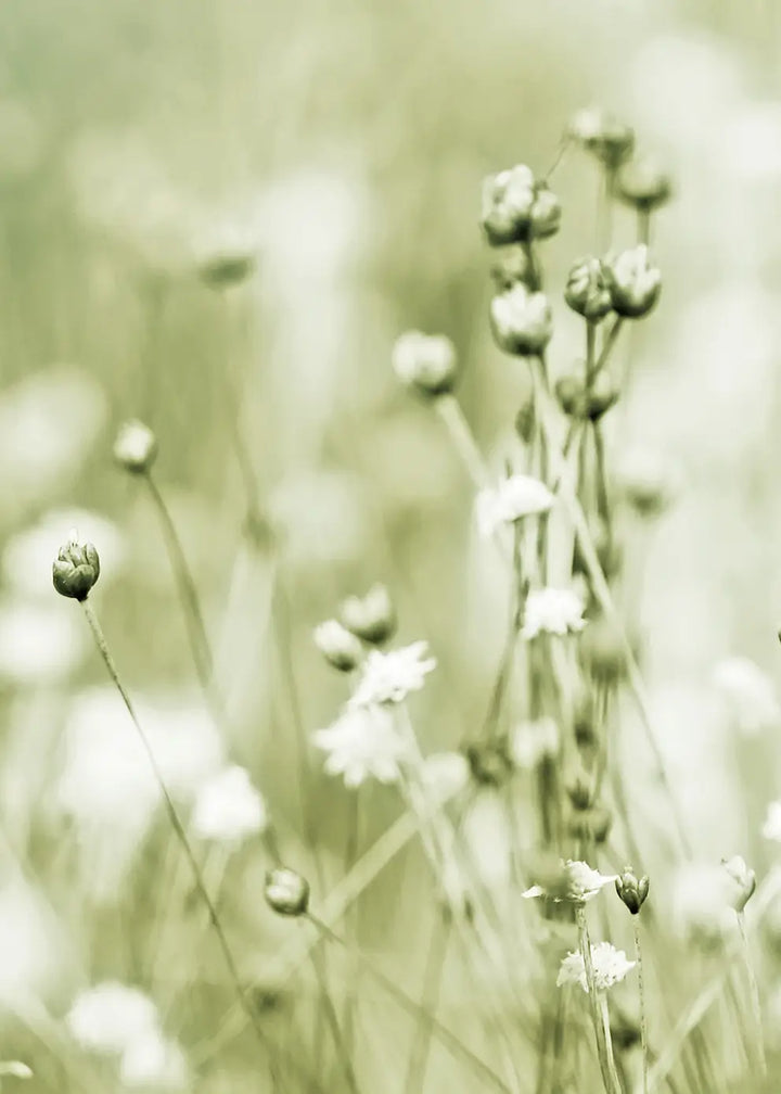 Ljuddämpande tavla - Soft Meadow Bloom