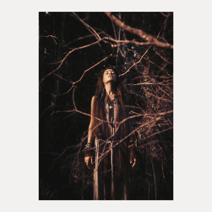 Poster - Zihna