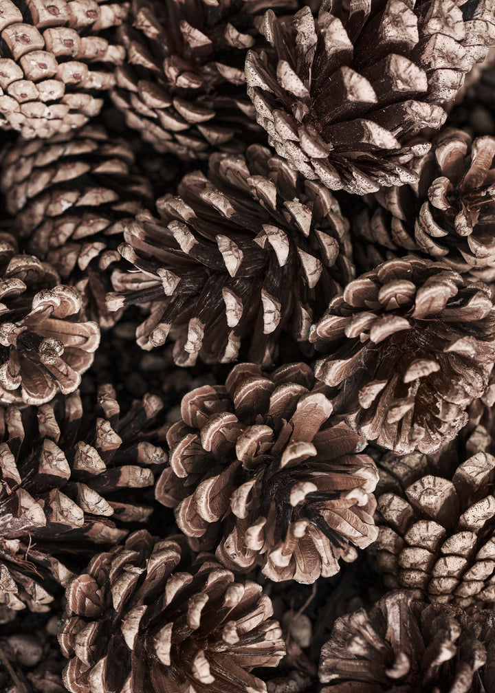 Canvastavla - Cones