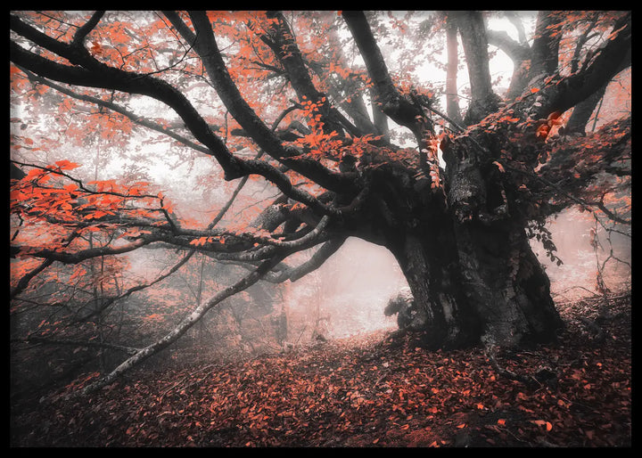 Poster - Roots of Autumn